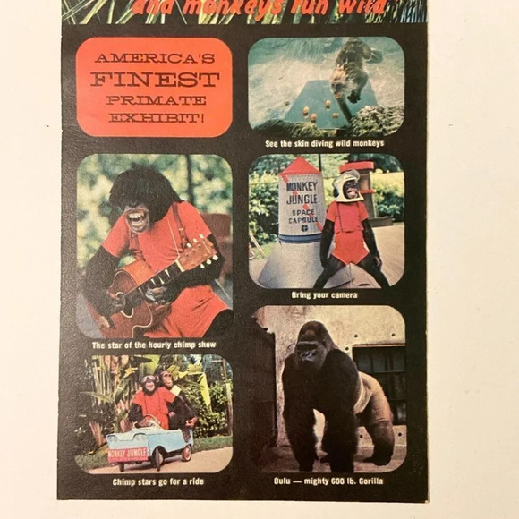 Vintage 1970s Florida Monkey Jungle Miami Travel Brochure Pamphlet Souvenir - Picture 4 of 7